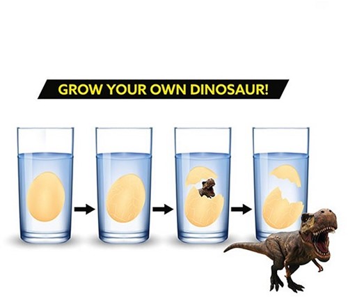 WORLD OF DINOSAURS Groei Ei Dinosaurus 6 assorti in display 7,5x10,5cm-2