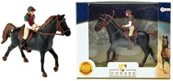 Paard zwart met ruiter