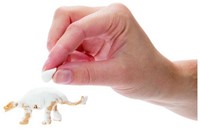 JURASSIC REVIVAL Juego de arcilla de dinosaurio en tarro 6x8cm (DIY)-3